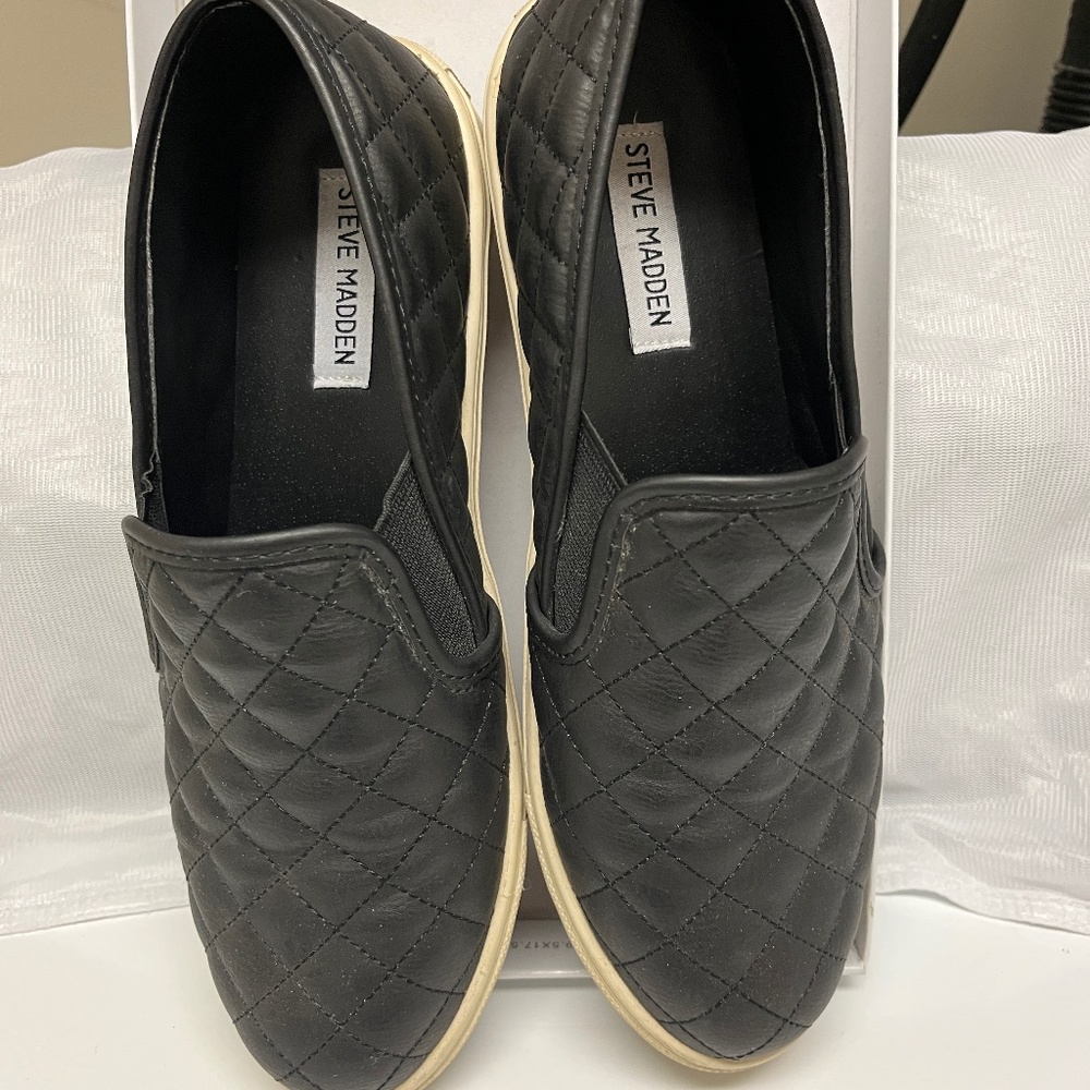 Steve Madden Ecentrcq